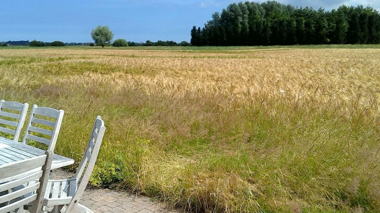 Ateljee Devlaux Bed & Breakfast Veurne Eksteriør bilde